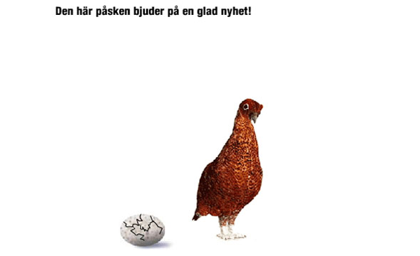 Famous grouse